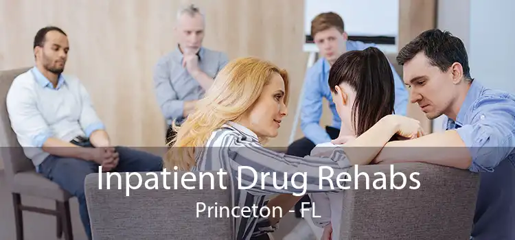 Inpatient Drug Rehabs Princeton - FL