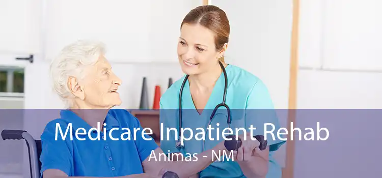Medicare Inpatient Rehab Animas - NM